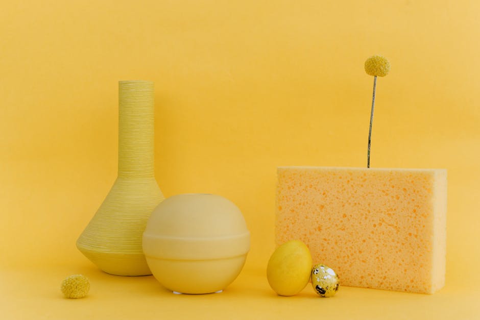 Colorful sponges displayed on a clean surface with soft lighting.