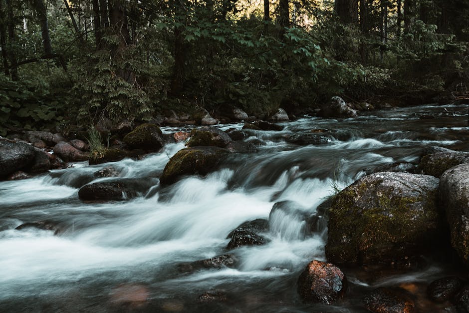 A flowing river surrounded by lush greenery under soft sunlight.