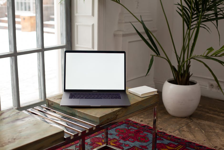 A clean modern workspace with a laptop and potted plant.