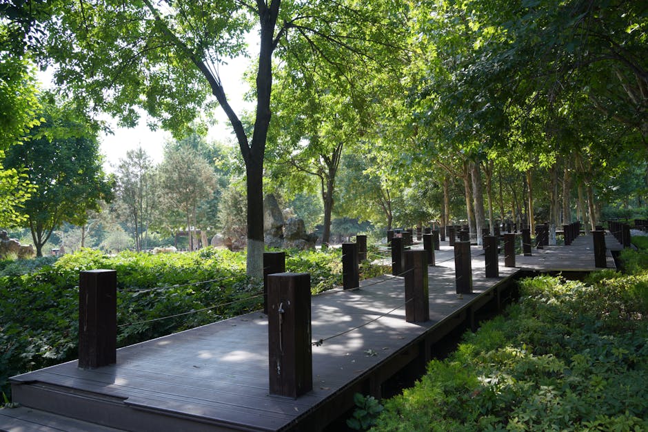 A peaceful park with green grass and sunlight filtering through trees.