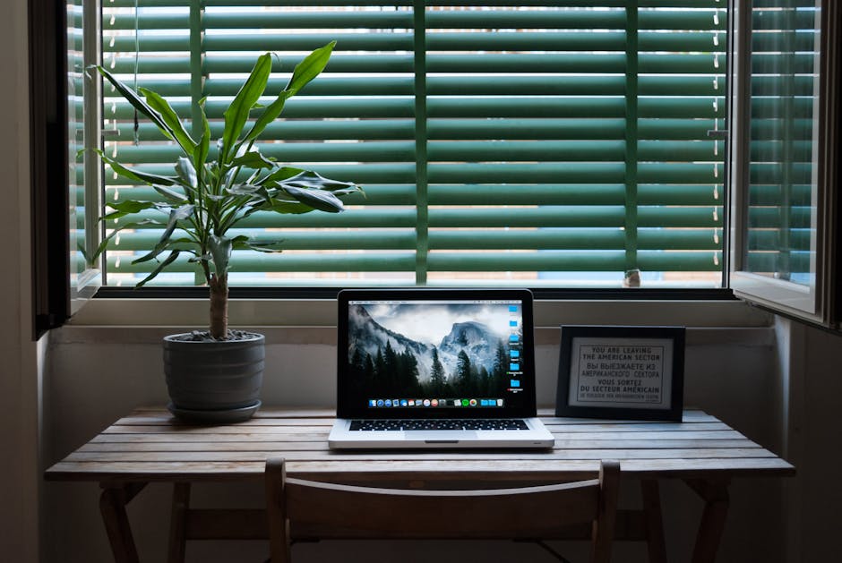 A minimalist workspace with a laptop, plant, and soft natural light.