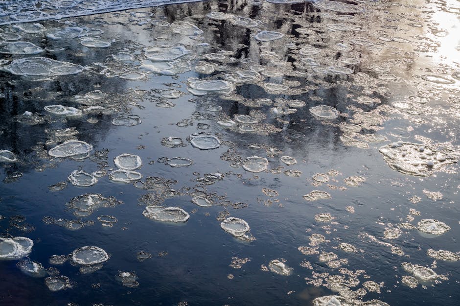 A frozen lake with frost patterns and a clear blue sky.