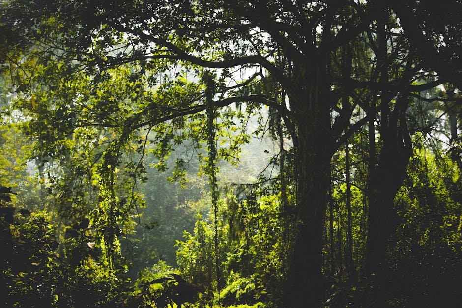 A vibrant jungle with green foliage and a gorilla silhouette